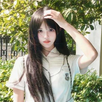 龙牌之谜